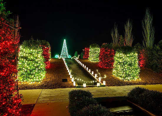 Tulsa Botanical Garden 12.2019